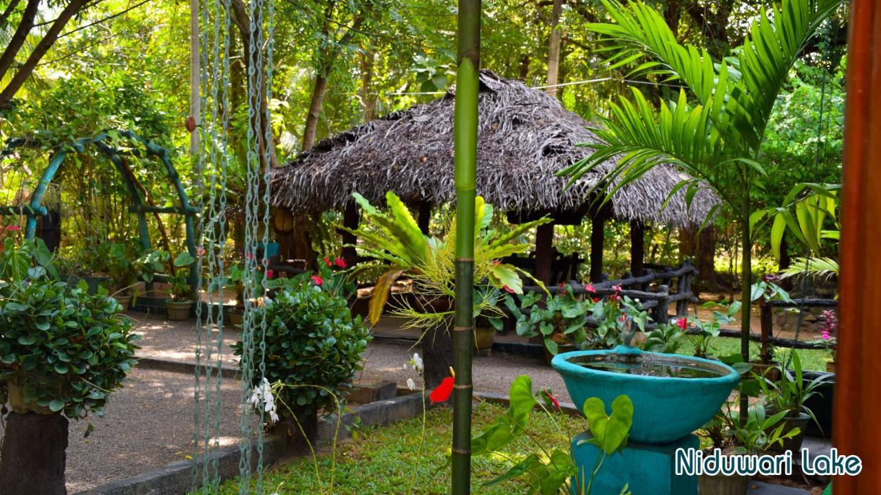 Niduwari Lake Homestay Dambulla Exterior photo